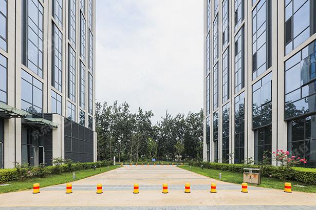 东旭国际