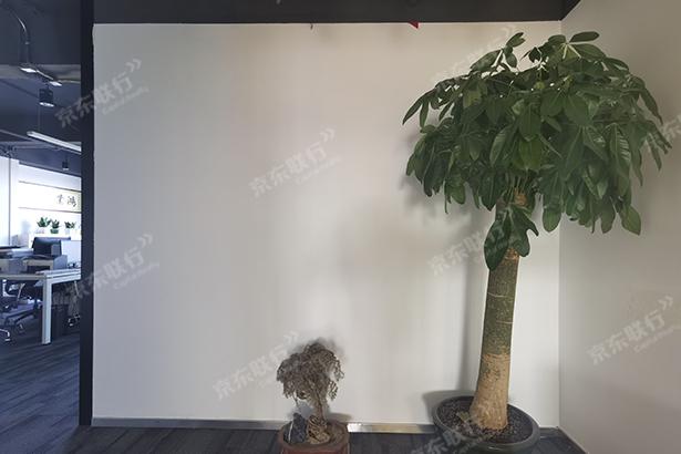 朝阳区-望京-博泰嘉华大厦-写字楼出租-豪装-90㎡
