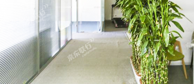 1553763465121818.jpg 地毯图片.jpg